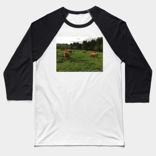 Scottish Highland Cattle Cows 2398 Baseball T-Shirt